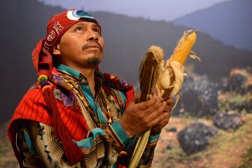 Тайны происхождения человека Тайны происхождения человека