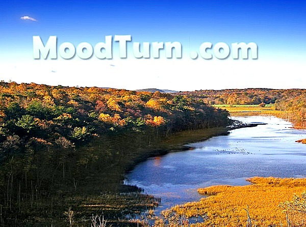 Сайты для быстрого расслабления на рабочем месте Сайты для быстрого расслабления на рабочем месте