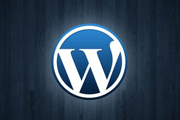 Консоль WordPress